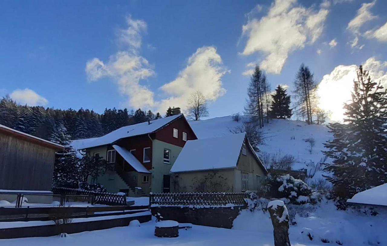 Platell Ferienhaeuser Harz Lerbach Exterior foto